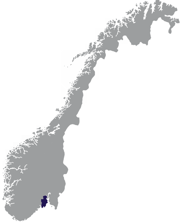 Landkaart Noorwegen grijs met provincie Vestfold donkerblauw op transparante achtergrond - 600 * 733 pixels